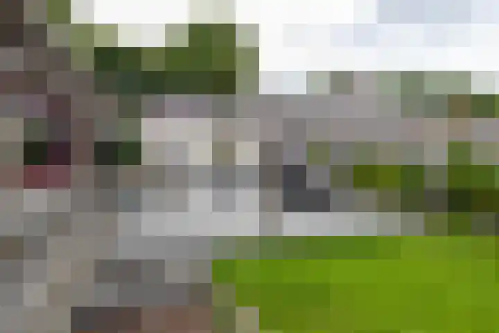 Heiligelaan 84 Zuidbroek thumbnail 63
