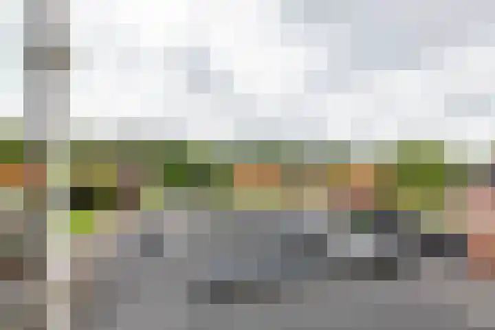 Heiligelaan 84 Zuidbroek thumbnail 65