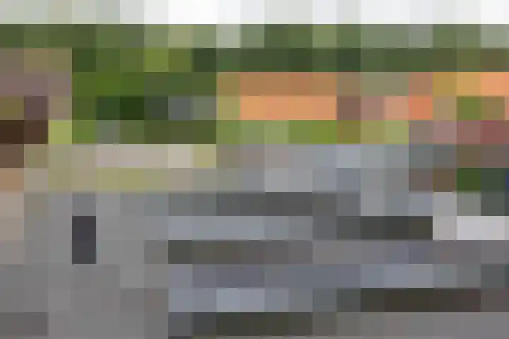 Heiligelaan 84 Zuidbroek thumbnail 66