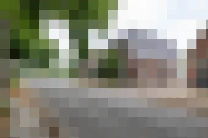 Heiligelaan 84 Zuidbroek thumbnail 72