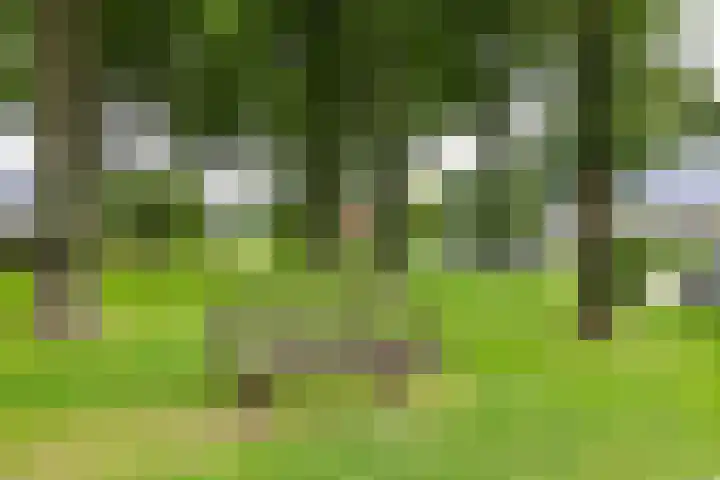 Heiligelaan 84 Zuidbroek thumbnail 74