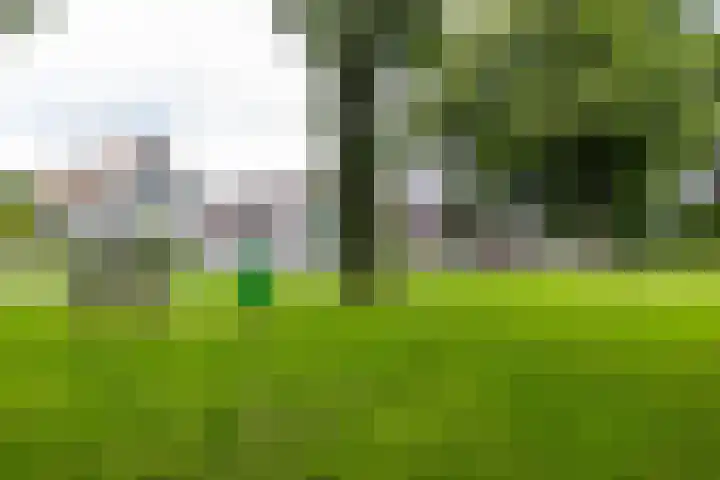 Heiligelaan 84 Zuidbroek thumbnail 75
