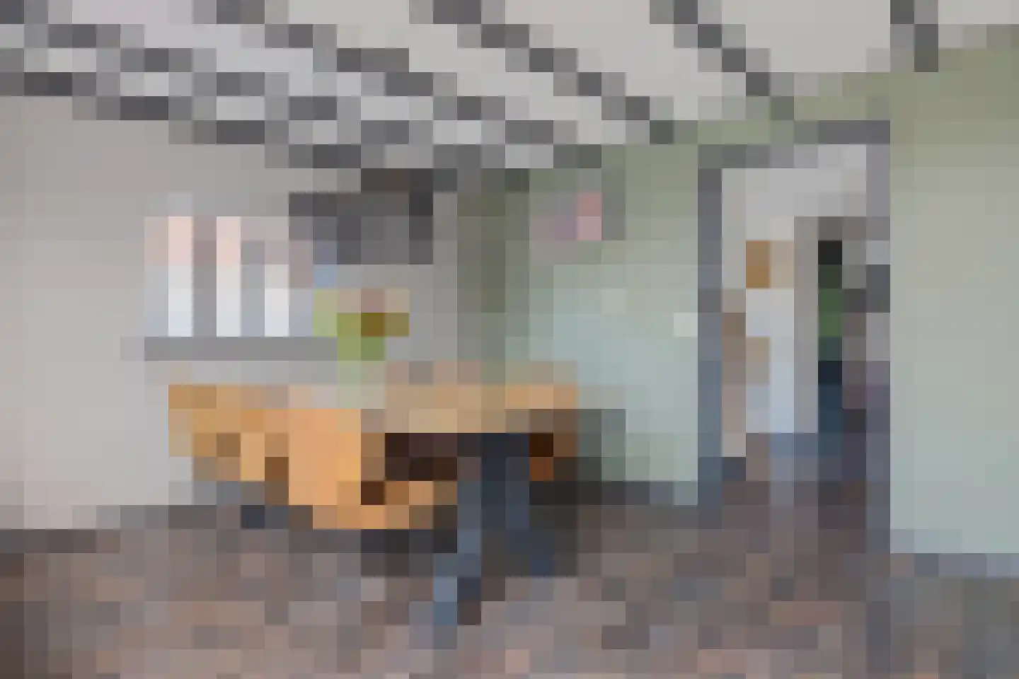 Heiligelaan 86 Zuidbroek thumbnail 23