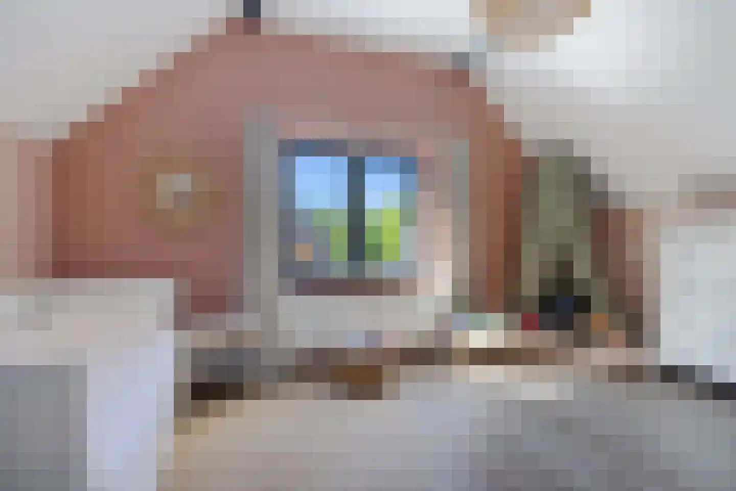 Heiligelaan 86 Zuidbroek thumbnail 27