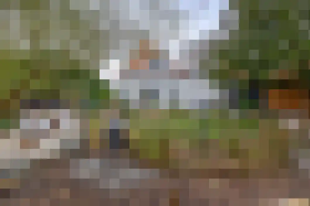 Heiligelaan 95 Zuidbroek thumbnail 38