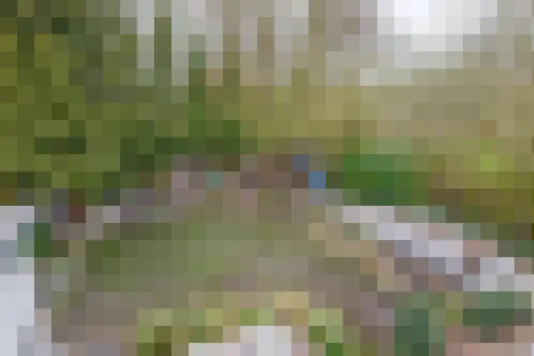 Heiligelaan 95 Zuidbroek thumbnail 41