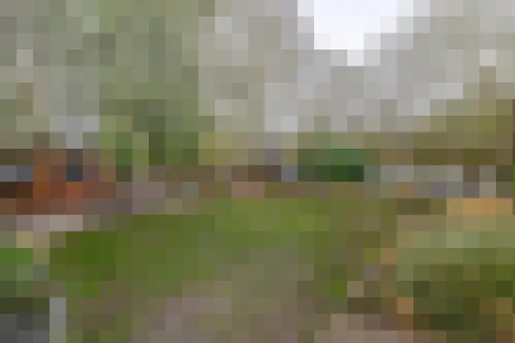 Heiligelaan 95 Zuidbroek thumbnail 42