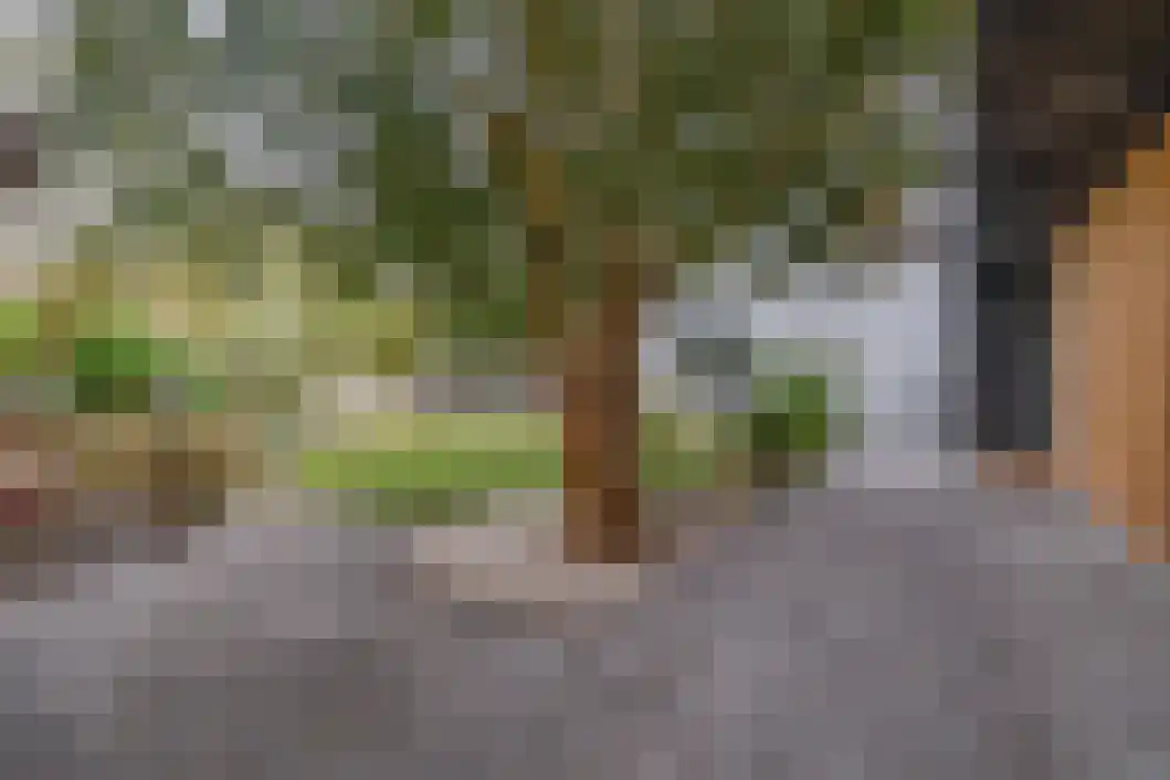 Heiligelaan 95 Zuidbroek thumbnail 49