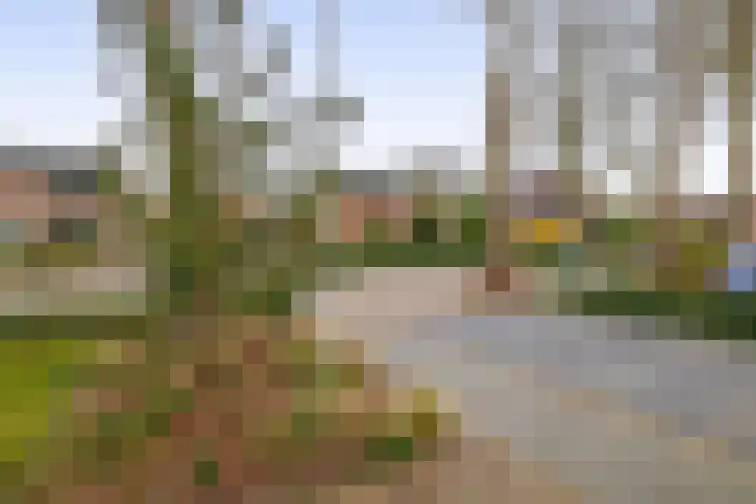 Heiligelaan 95 Zuidbroek thumbnail 52