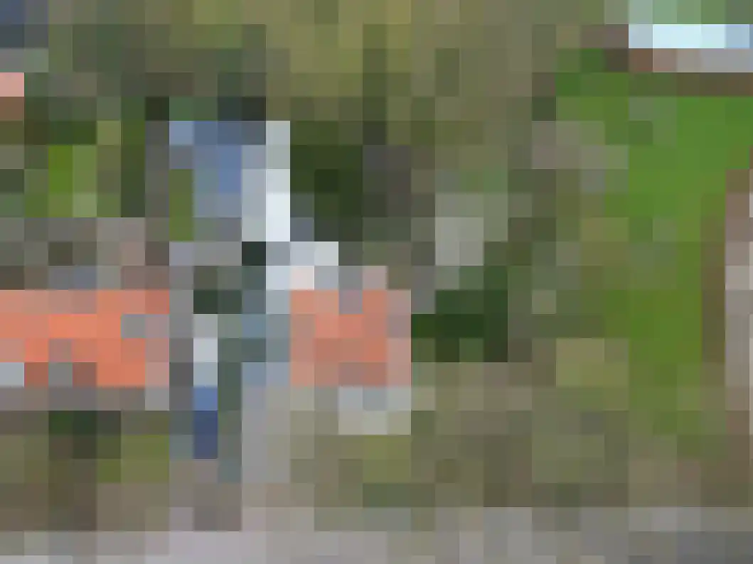 Heiligelaan 95 Zuidbroek thumbnail 54