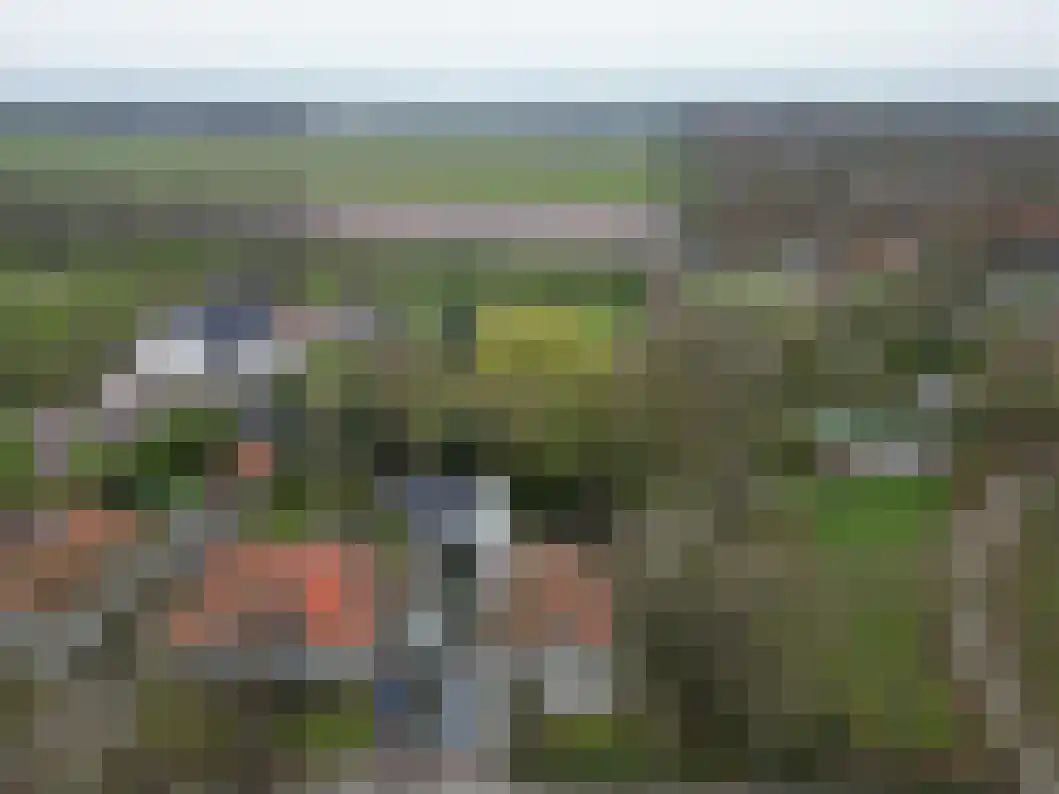 Heiligelaan 95 Zuidbroek thumbnail 55