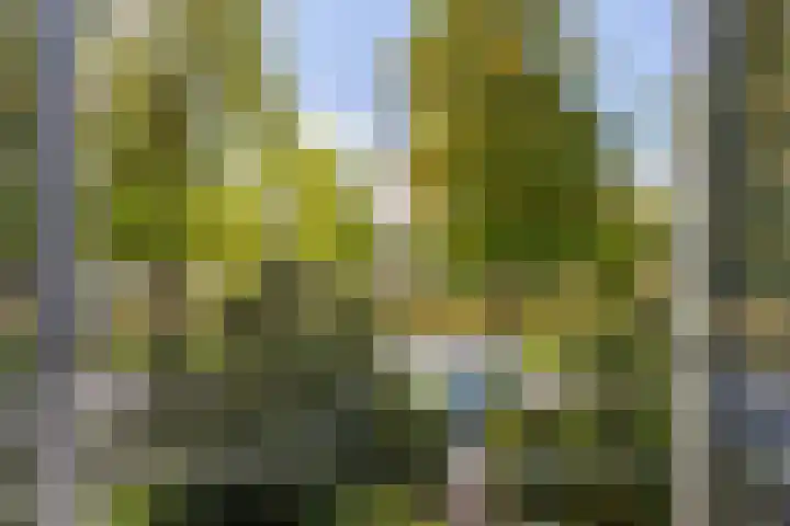 Heiligenbergerweg 134 Amersfoort thumbnail 31