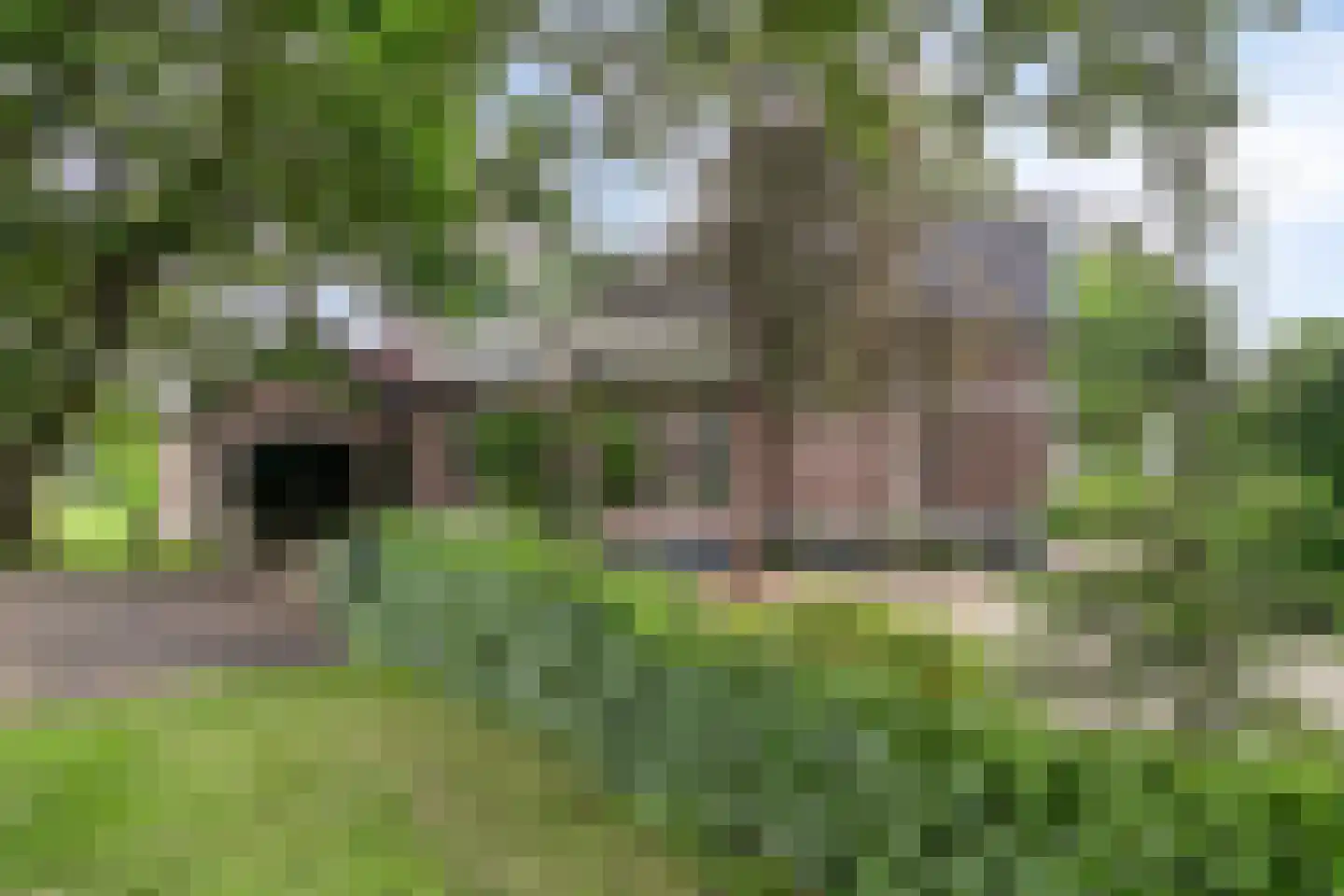 Heiligenbergerweg 150 Amersfoort thumbnail 37