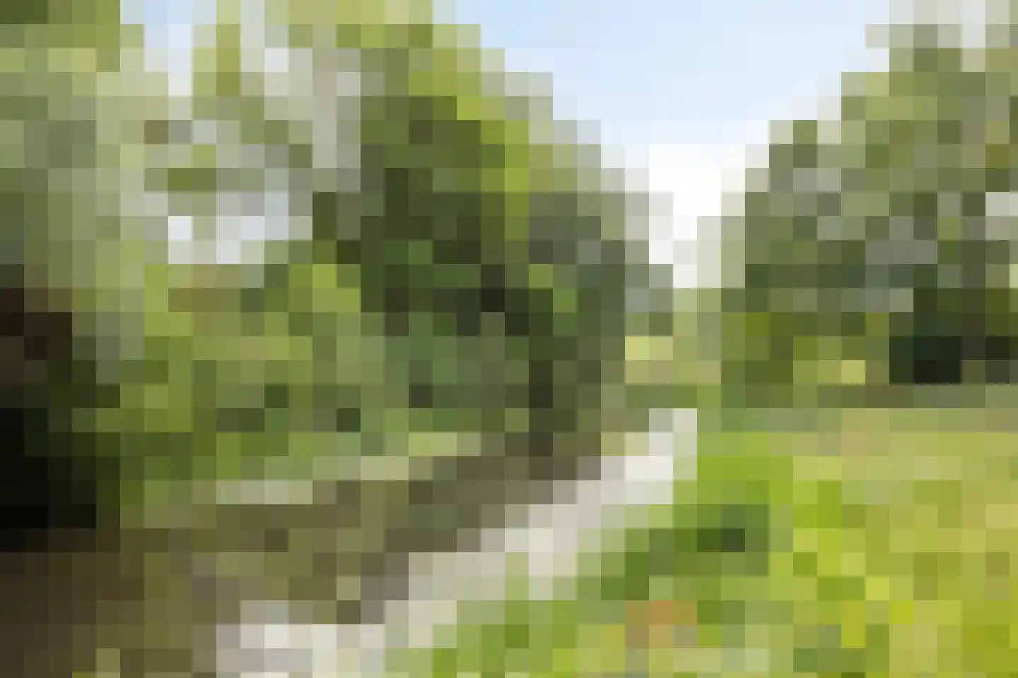 Heiligenbergerweg 150 Amersfoort thumbnail 41