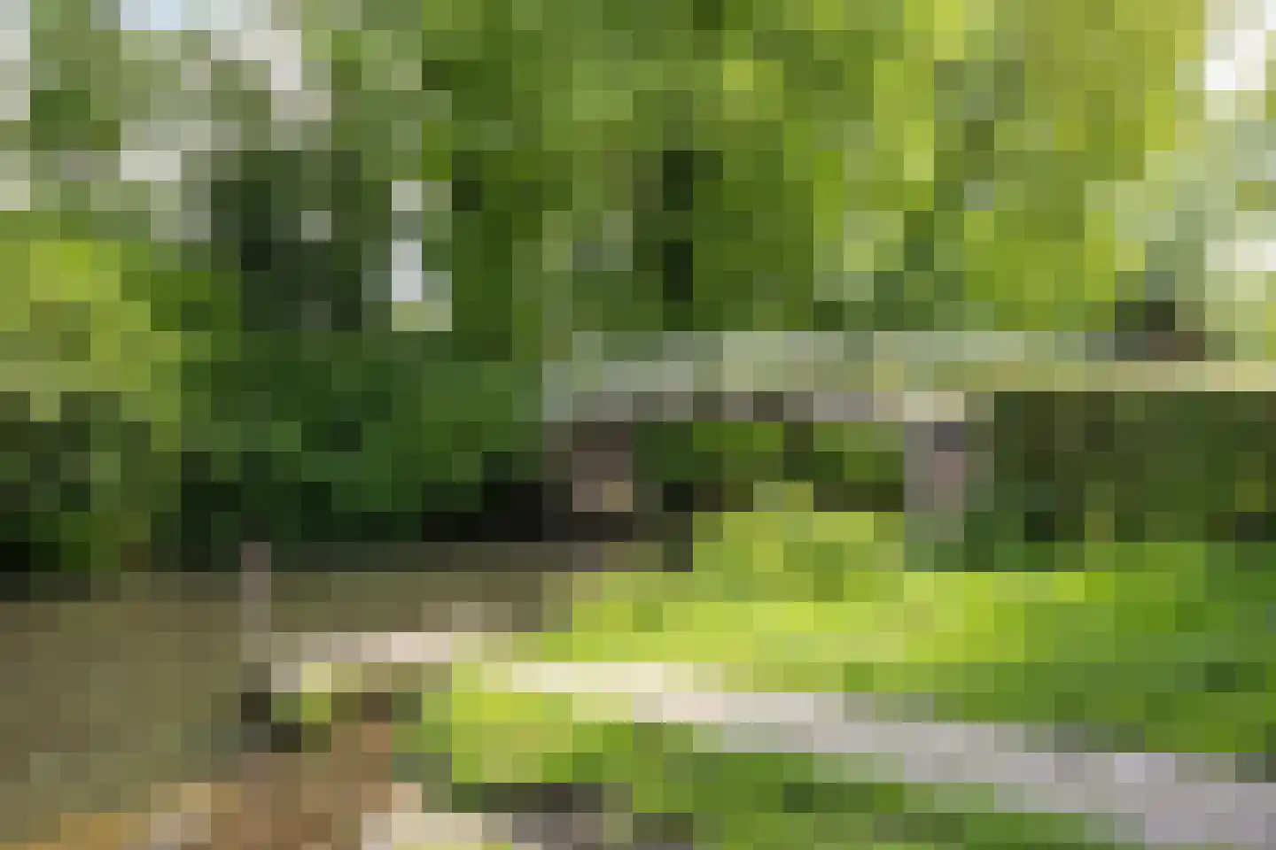 Heiligenbergerweg 150 Amersfoort thumbnail 43