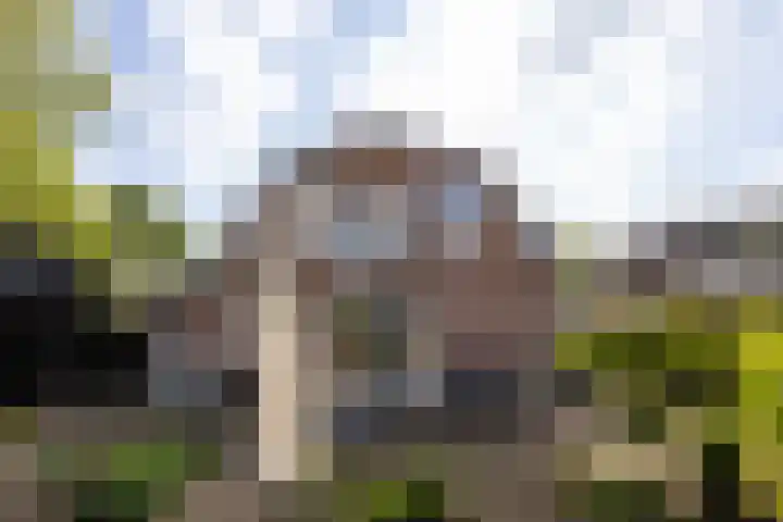 Heiligenbergerweg 152 Amersfoort thumbnail 43