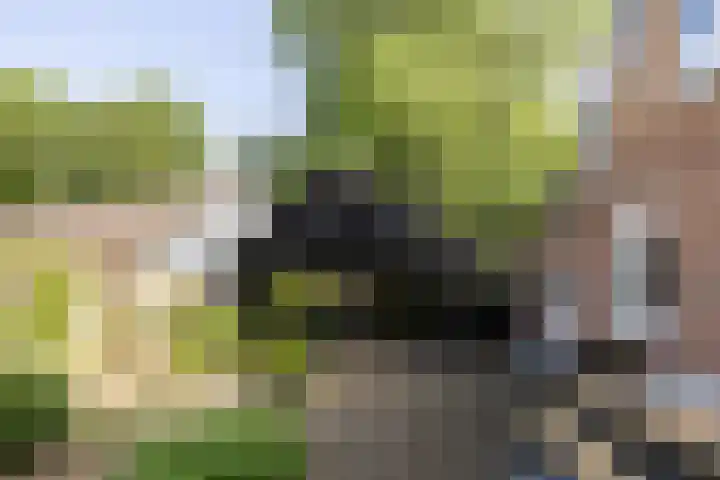 Heiligenbergerweg 152 Amersfoort thumbnail 44