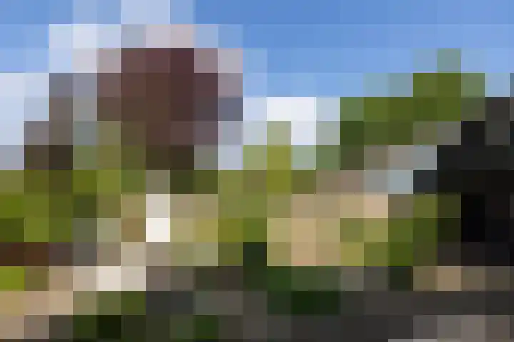 Heiligenbergerweg 152 Amersfoort thumbnail 46
