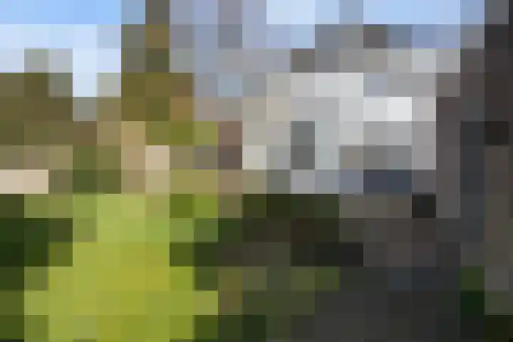 Heiligenbergerweg 37 Amersfoort thumbnail 52