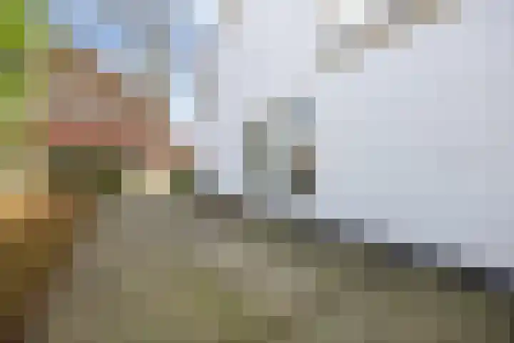 Heiligenbergerweg 37 Amersfoort thumbnail 59