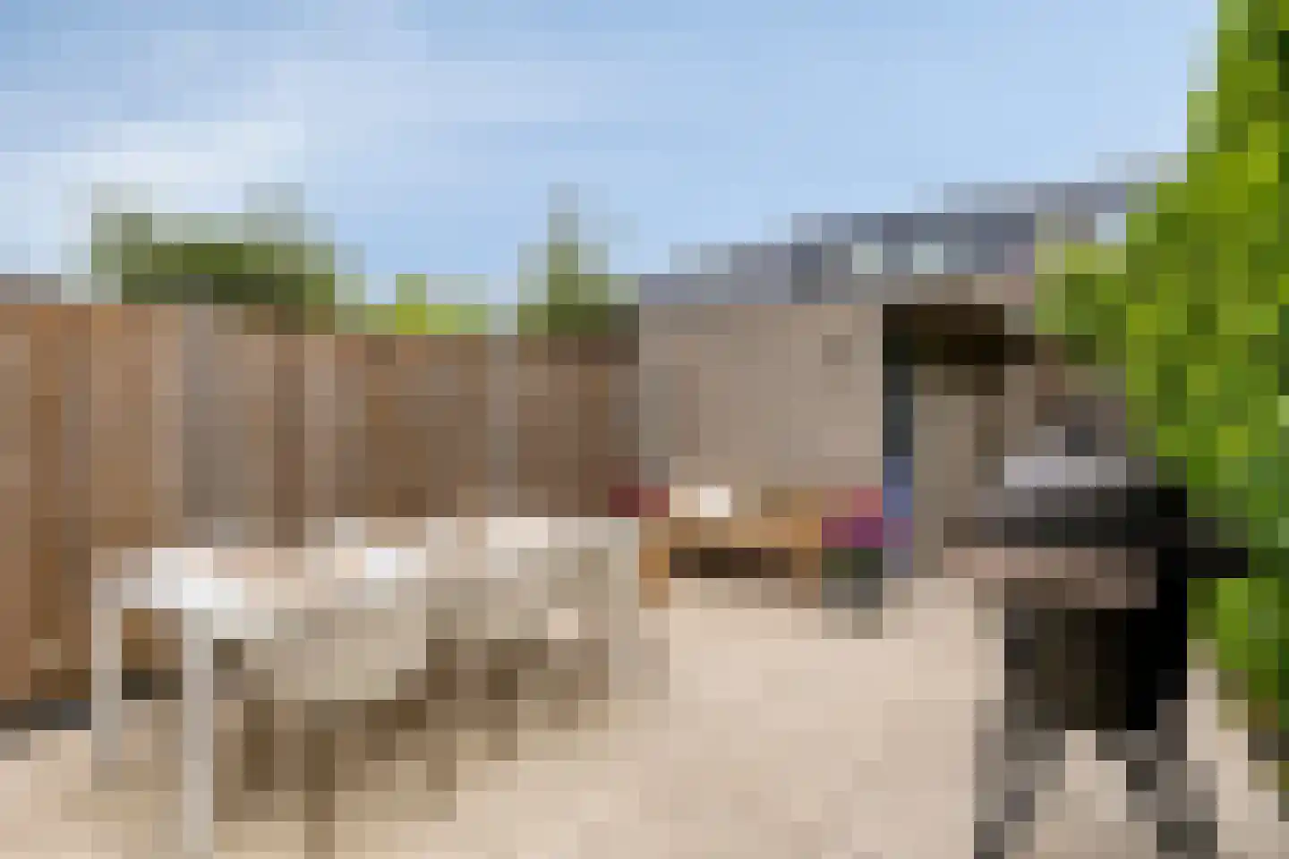 Heiligenbergerweg 68 K Amersfoort thumbnail 31