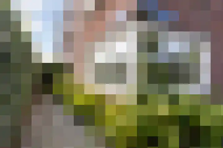 Heiligenbergerweg 70 Amersfoort thumbnail 15