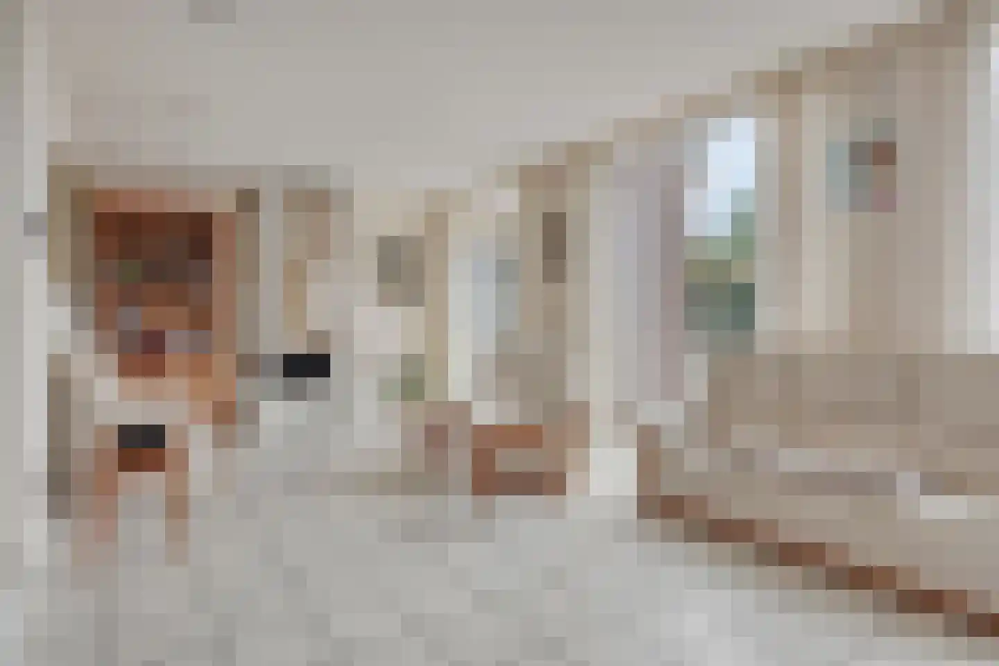 Heiligenbergstraat 10 Bunde thumbnail 16