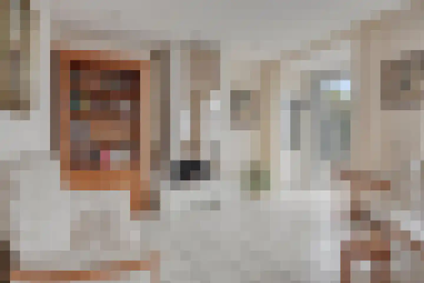 Heiligenbergstraat 10 Bunde thumbnail 19