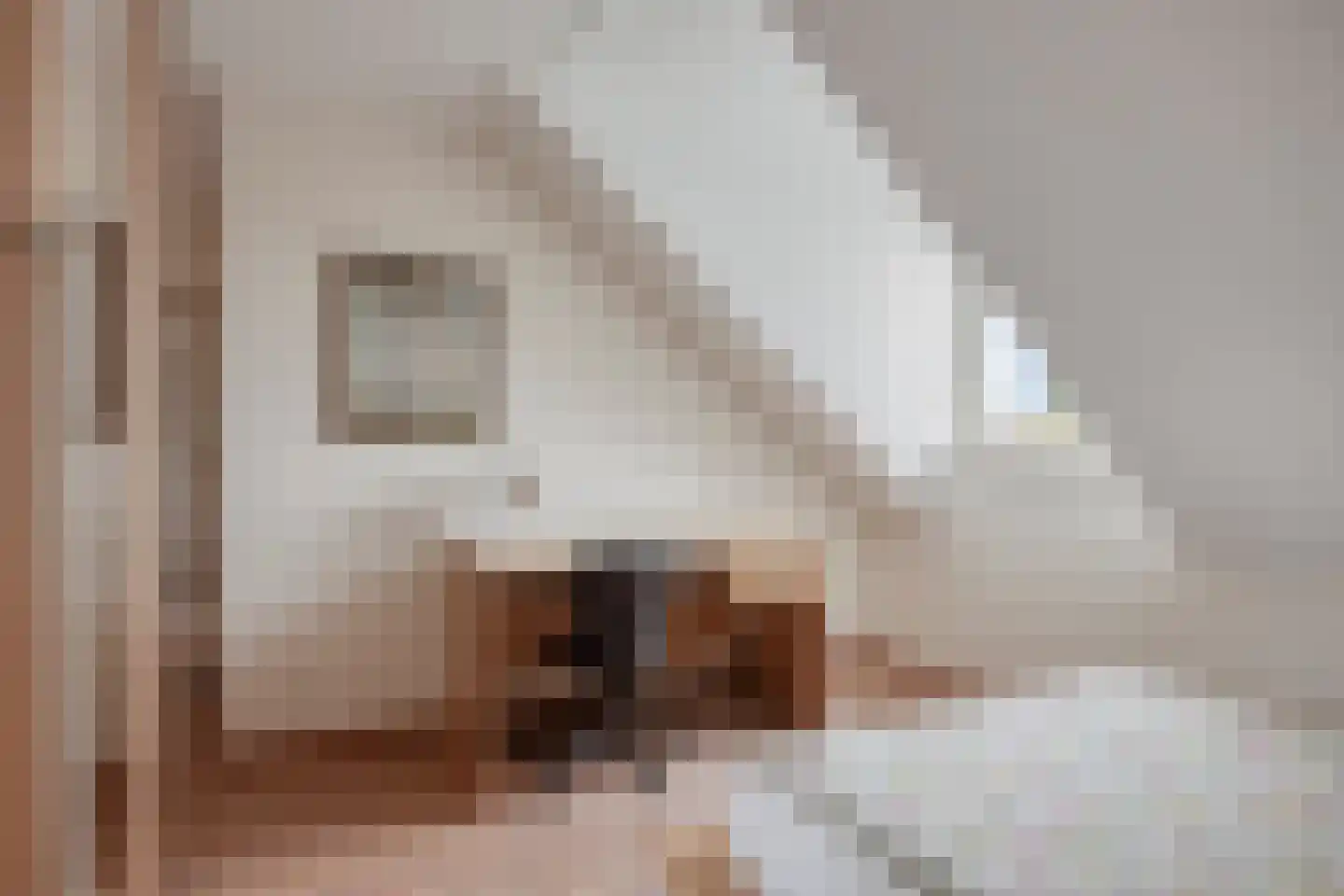 Heiligenbergstraat 10 Bunde thumbnail 28