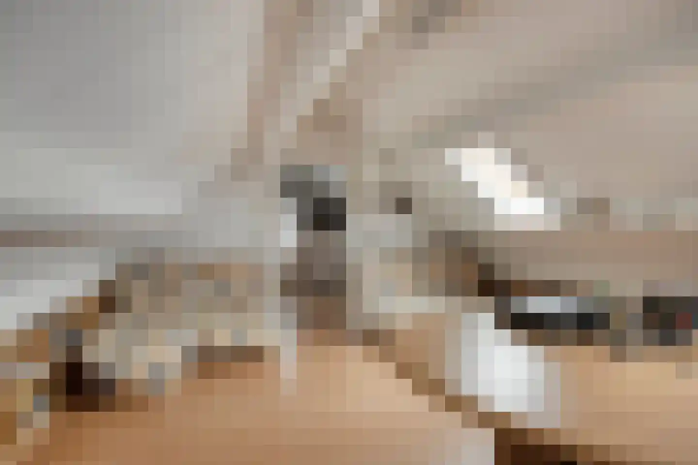 Heiligenbergstraat 10 Bunde thumbnail 38