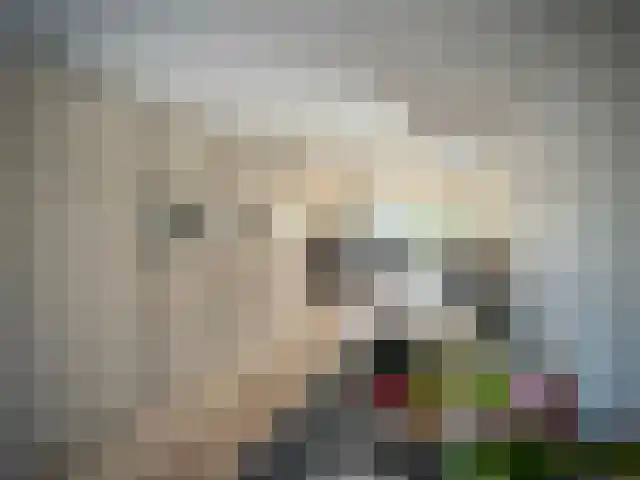 Heiligenbloem 18 Nootdorp thumbnail 10