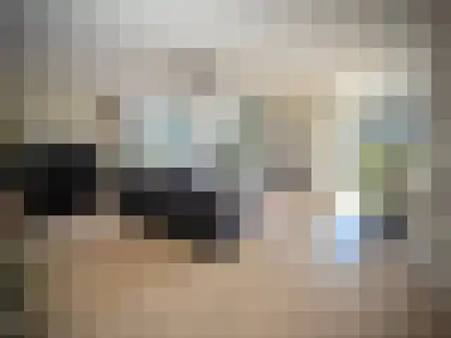 Heiligenbloem 18 Nootdorp thumbnail 15