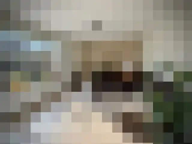 Heiligenbloem 18 Nootdorp thumbnail 17