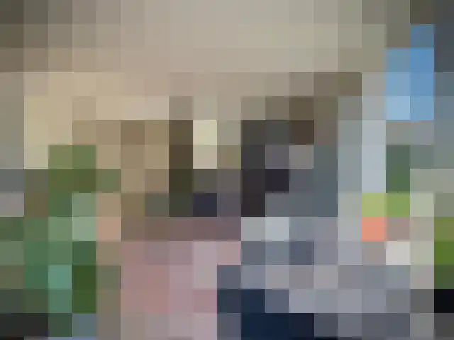 Heiligenbloem 18 Nootdorp thumbnail 20