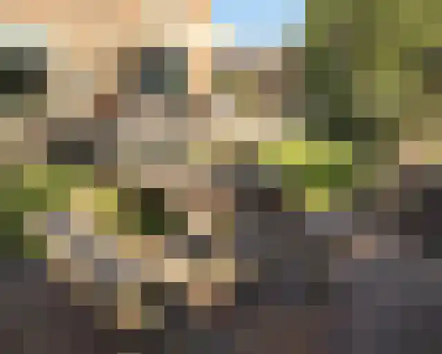 Heiligenbloem 18 Nootdorp thumbnail 23