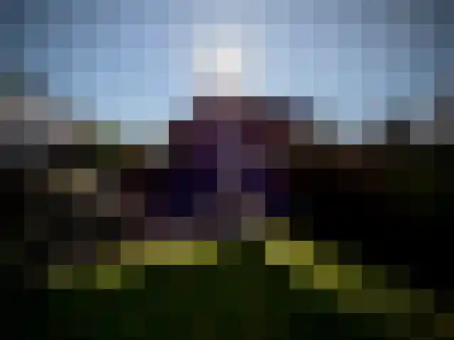 Heiligenbloem 18 Nootdorp thumbnail 25