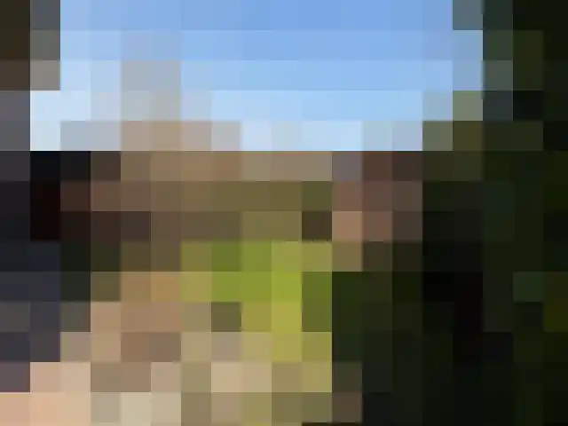 Heiligenbloem 18 Nootdorp thumbnail 29