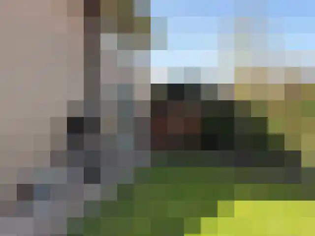 Heiligenbloem 18 Nootdorp thumbnail 31