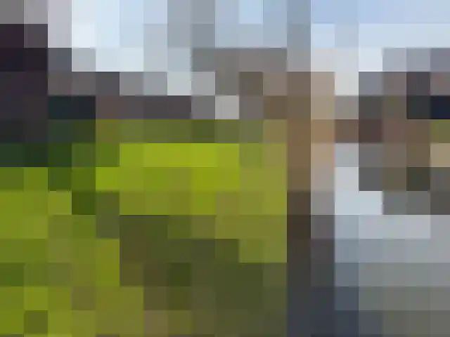 Heiligenbloem 18 Nootdorp thumbnail 56