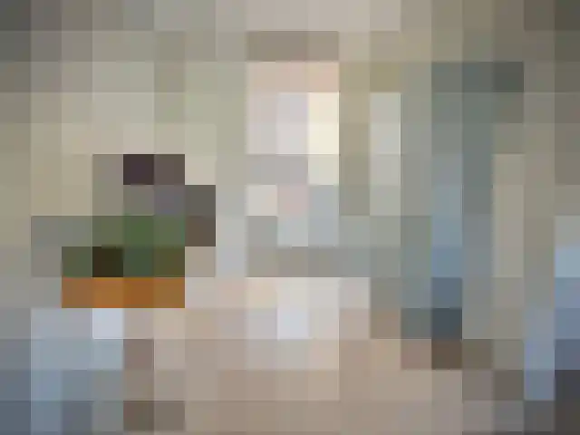 Heiligenbloem 18 Nootdorp thumbnail 8