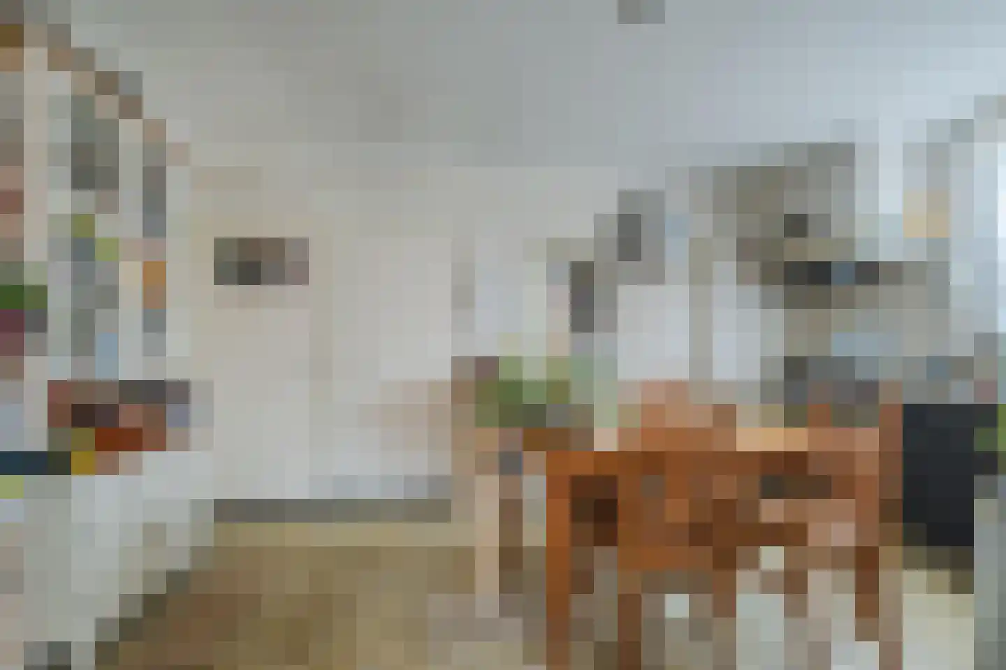 Heiligenboom 5 Moergestel thumbnail 11