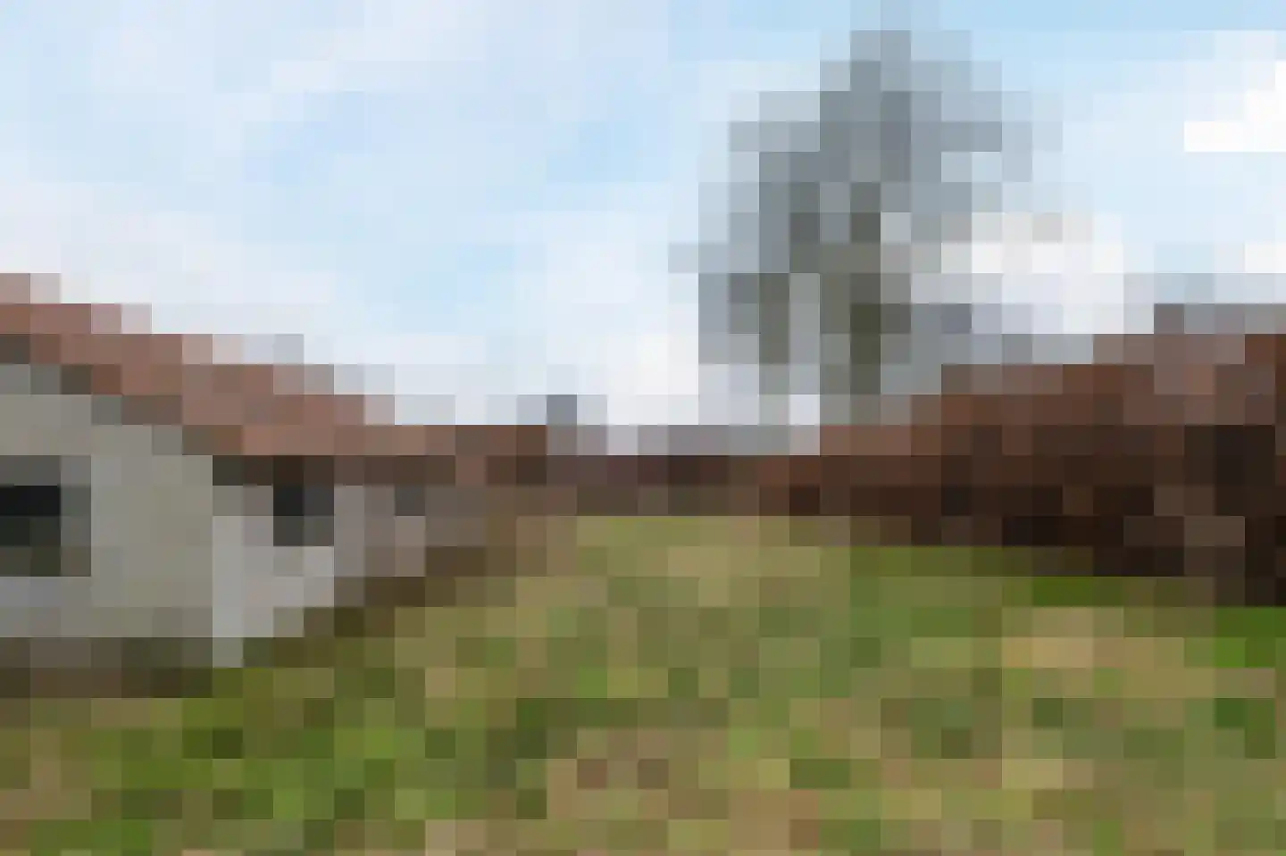 Heiligenboom 5 Moergestel thumbnail 34