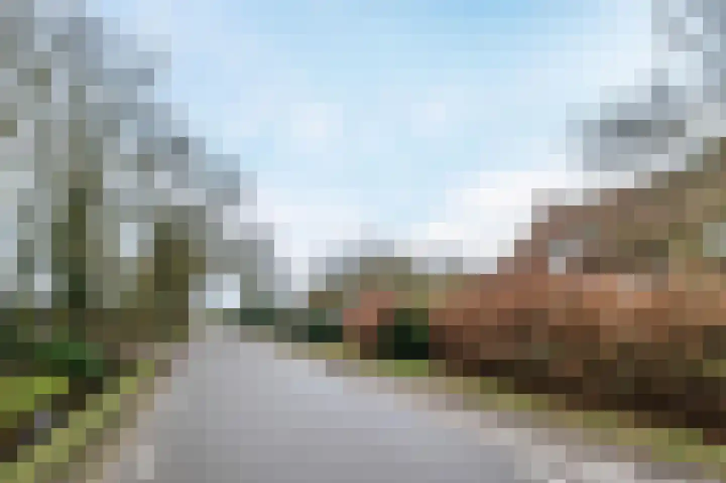 Heiligenboom 5 Moergestel thumbnail 37