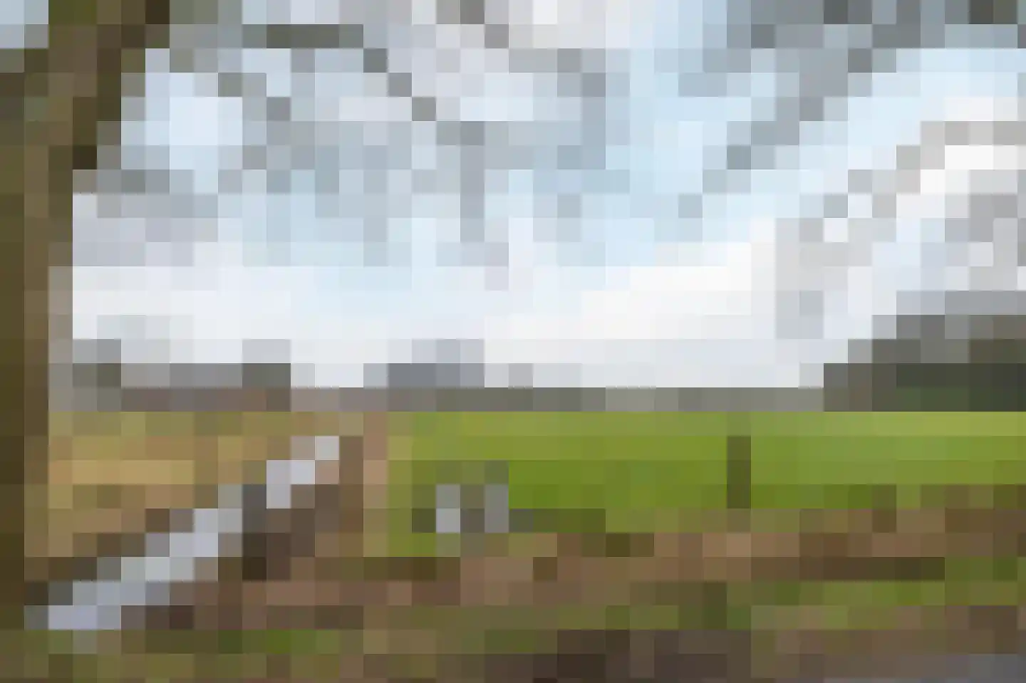Heiligenboom 5 Moergestel thumbnail 38