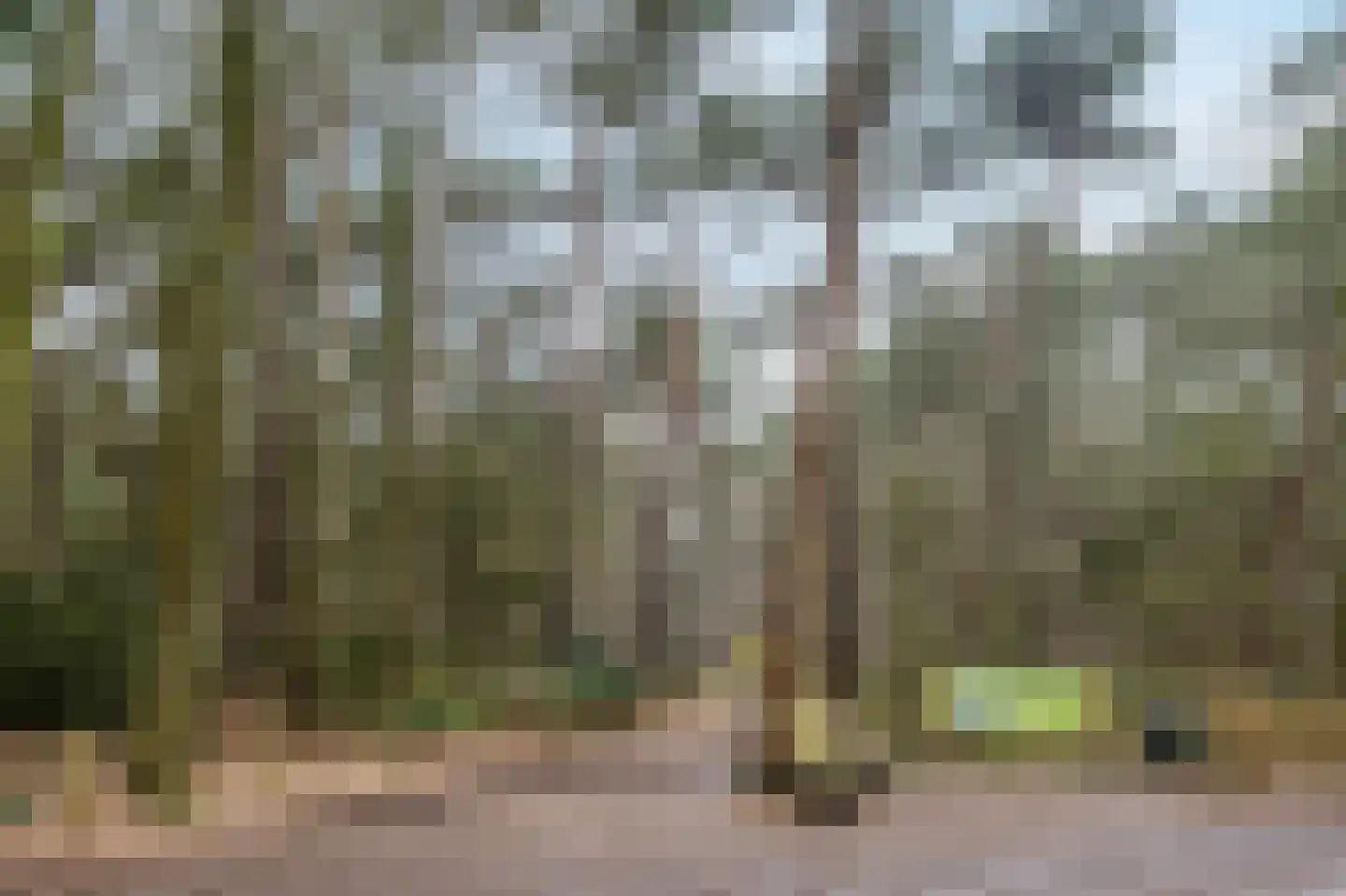Heiligenboom 5 Moergestel thumbnail 39