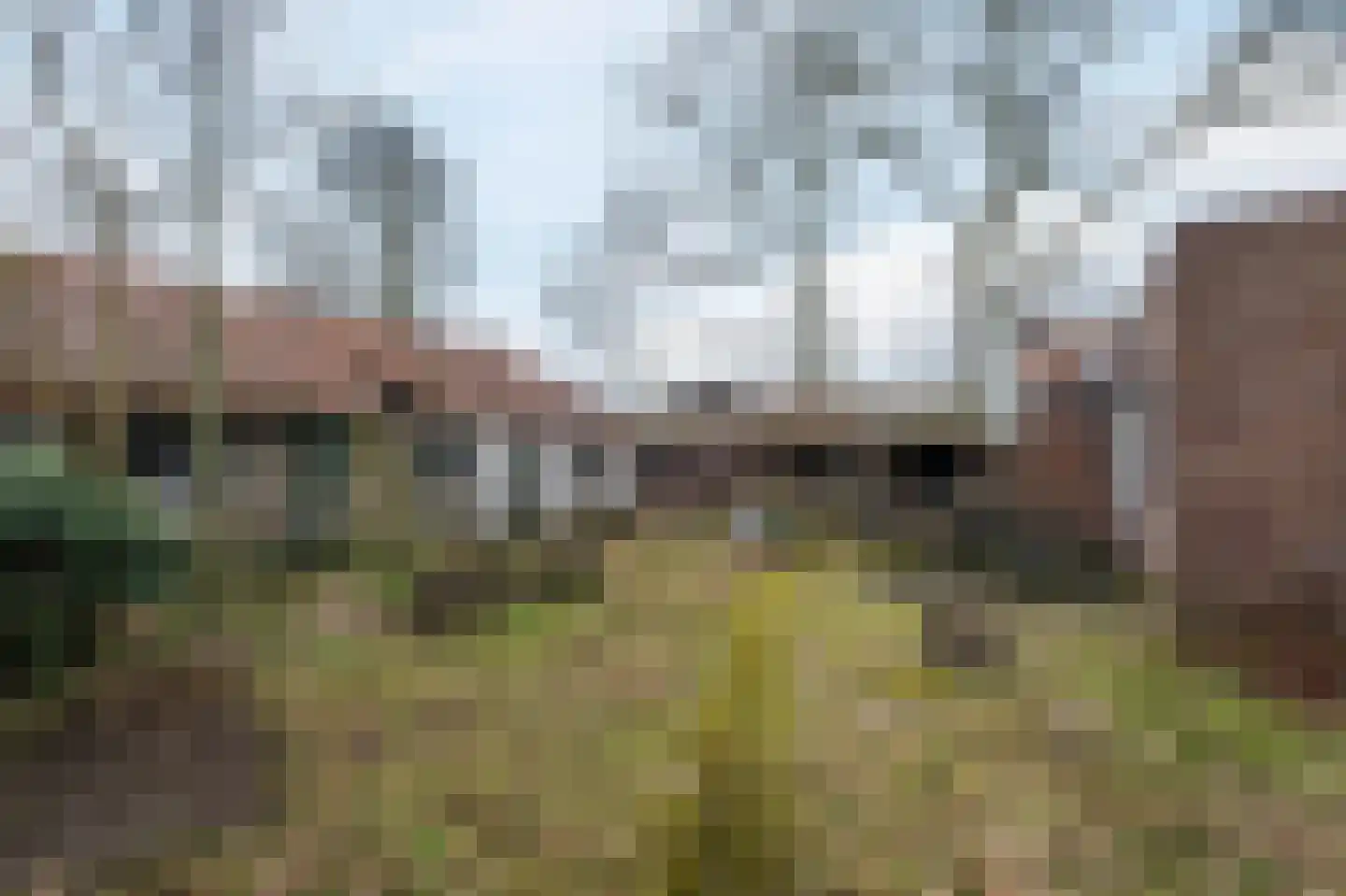 Heiligenboom 5 Moergestel thumbnail 5