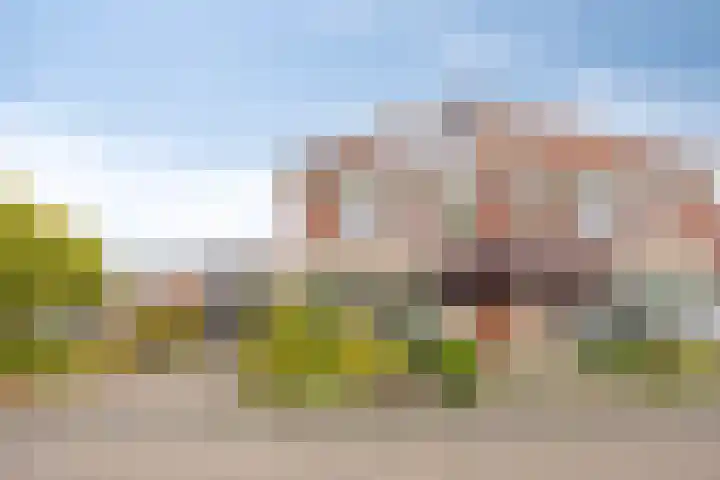 Heiligenbos 13 in Berghem