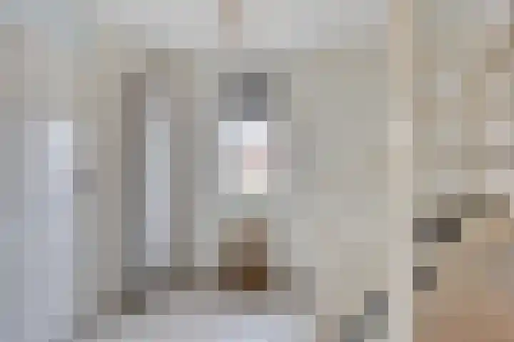 Heiligenbos 13 Berghem thumbnail 15