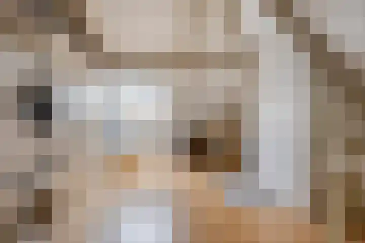 Heiligenbos 13 Berghem thumbnail 26
