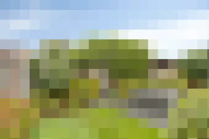 Heiligenbos 13 Berghem thumbnail 31